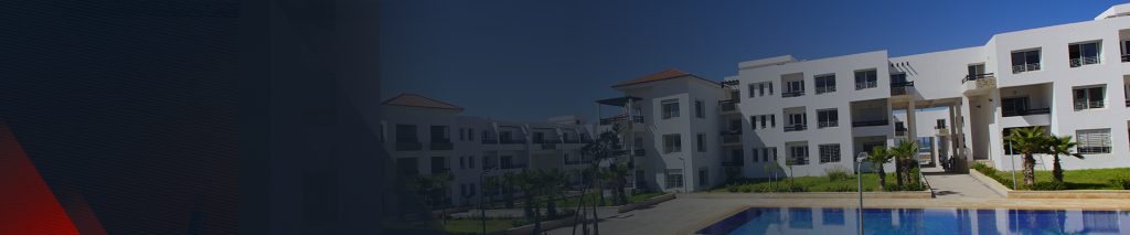 Lorem ipsum dolor sit amet consectetur adipisicing elit. -5